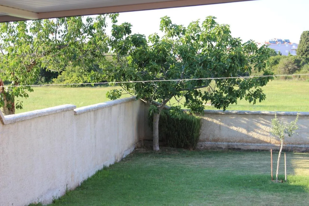 Apartments With A Parking Space Valbandon, Fazana - 7296 Stinjan Croatia